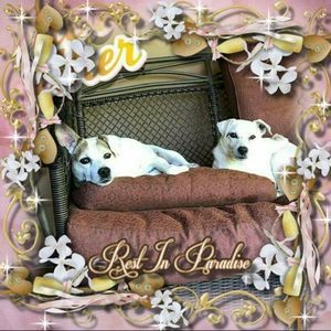 Meet your Posher, Heidi